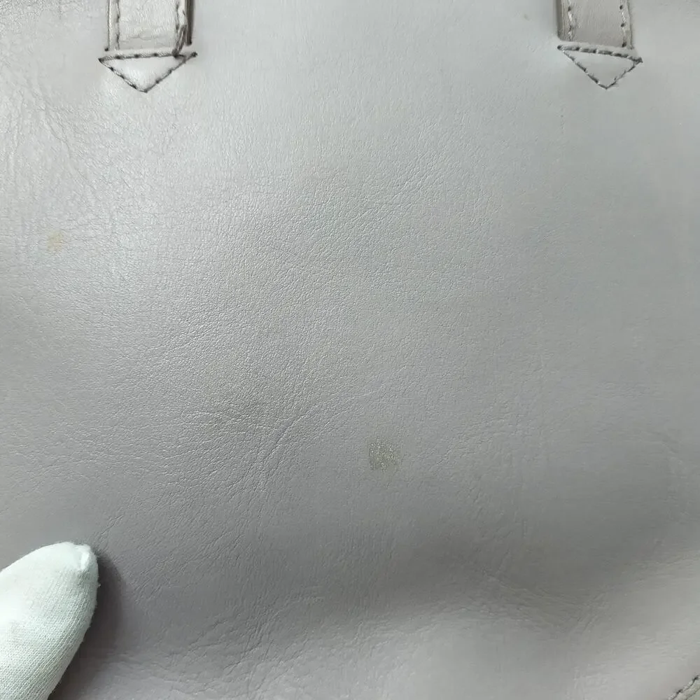 Madewell Light Purple Leather Round Shape Zipper Satchel Crossbody Bag